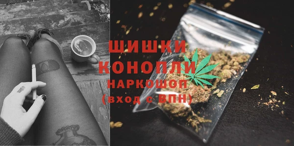 гидра Баксан